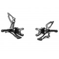 Bonamici Racing Aluminium Rearsets for the Suzuki GSX-R1000 2007-2008 Bonamici Racing Aluminium Rearsets for the Suzuki GSX-R1000 2007-2008